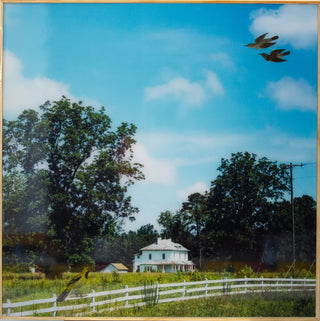 La Maison D'Oiseaux