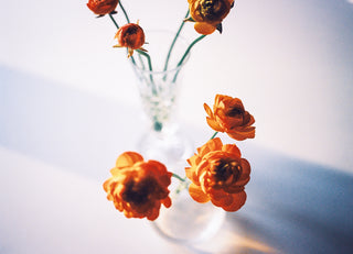 Floral V.04