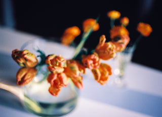Floral V.03