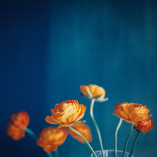 Floral v.02