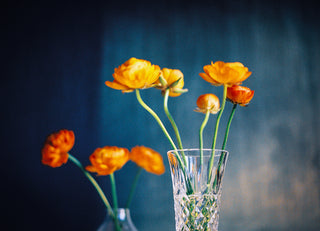 Tablescape v. 01