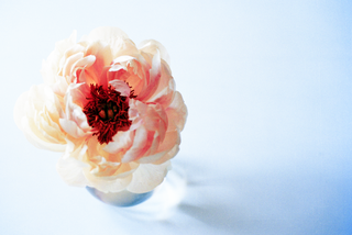 Tablescape v. 03