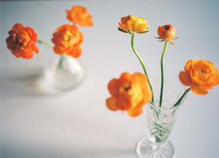 Tablescape v. 02